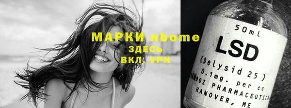 бошки Пересвет