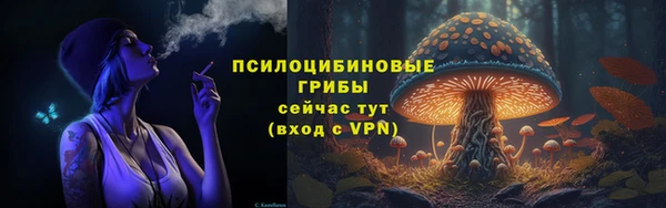 прущая мука Абаза