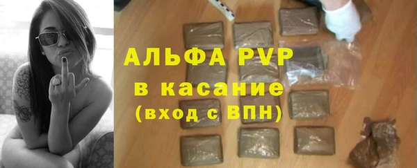 бошки Пересвет