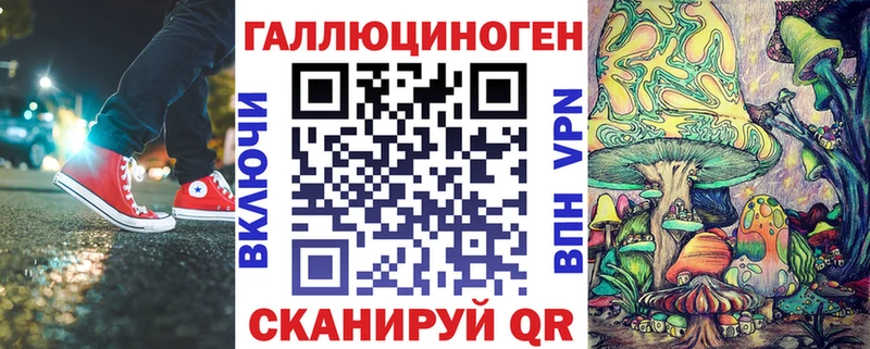 где найти   Кяхта  Галлюциногенные грибы Psilocybine cubensis 
